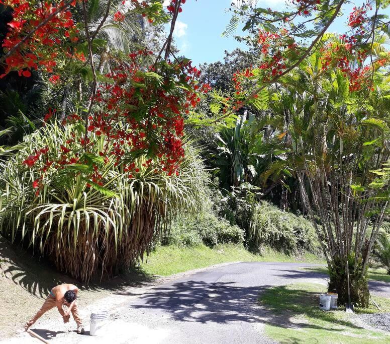 Las PiedrasSwim & Paint Art Retreatアパートメント エクステリア 写真