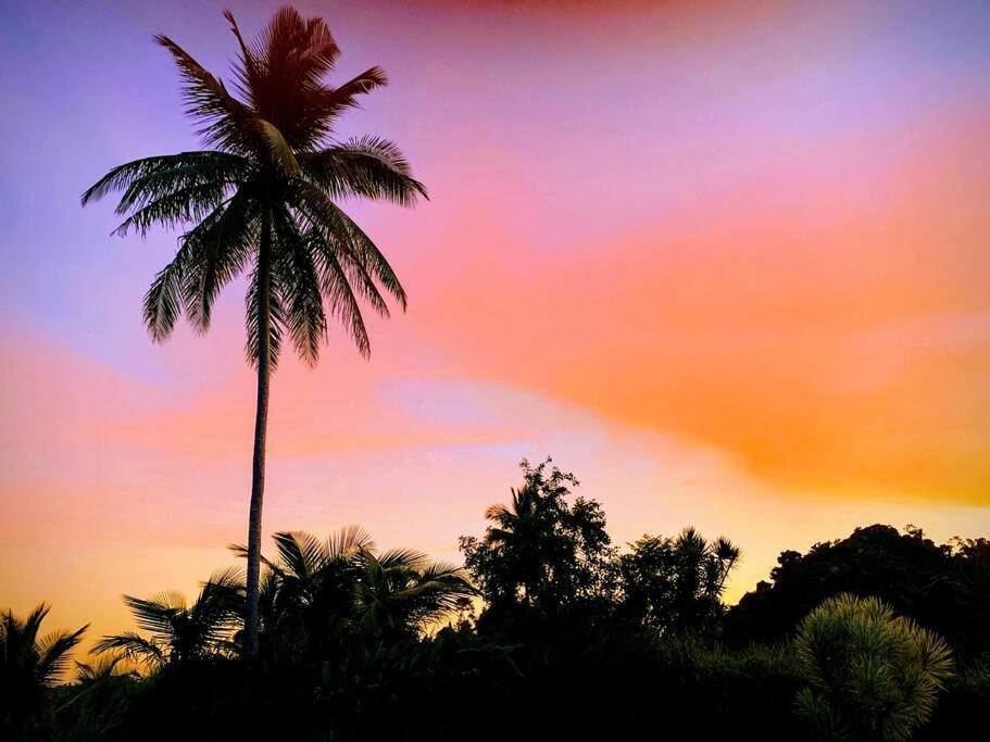 Las PiedrasSwim & Paint Art Retreatアパートメント エクステリア 写真