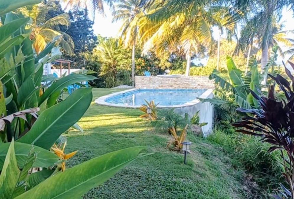 Las PiedrasSwim & Paint Art Retreatアパートメント エクステリア 写真